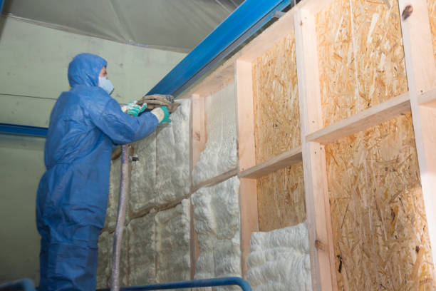 Best Soundproof Insulation Installation  in Hudsonville, MI