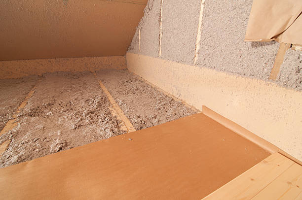 Best Professional Insulation Contractor  in Hudsonville, MI